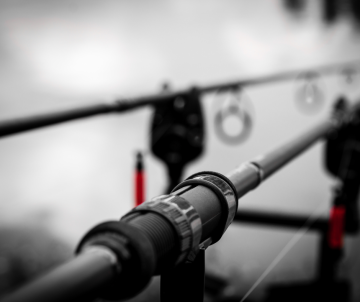 Špičkové nástrahy a návnady Fishhunter | Pro váš životní úlovek